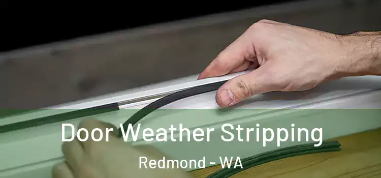 Door Weather Stripping Redmond - WA