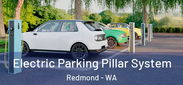 Electric Parking Pillar System Redmond - WA