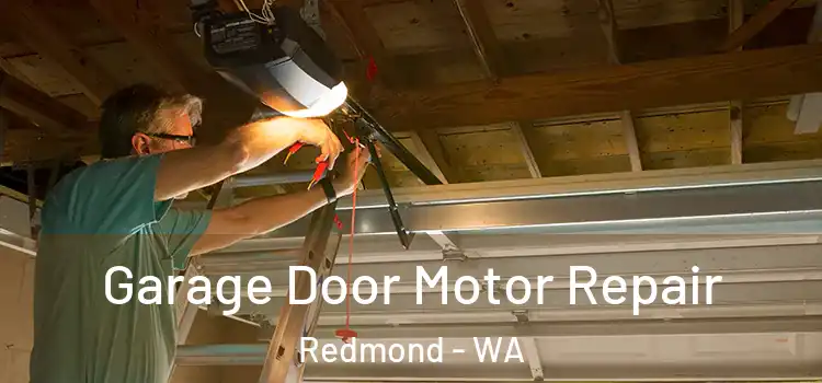  Garage Door Motor Repair Redmond - WA