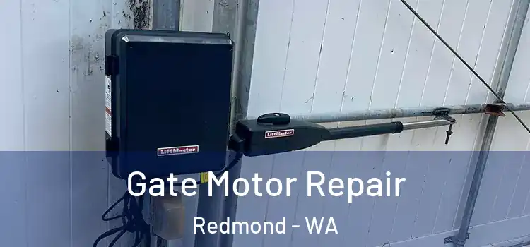Gate Motor Repair Redmond - WA