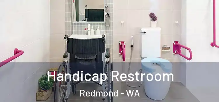Handicap Restroom Redmond - WA