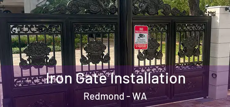 Iron Gate Installation Redmond - WA
