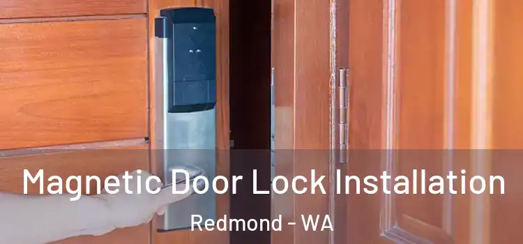  Magnetic Door Lock Installation Redmond - WA
