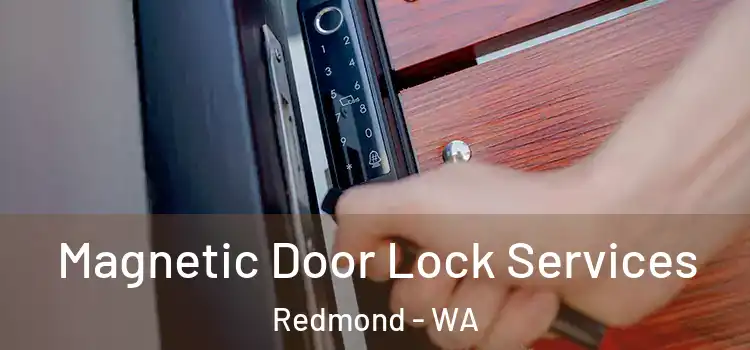 Magnetic Door Lock Services Redmond - WA