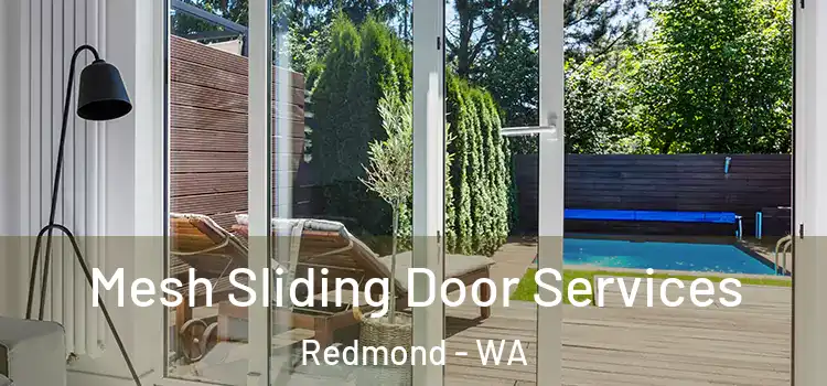Mesh Sliding Door Services Redmond - WA