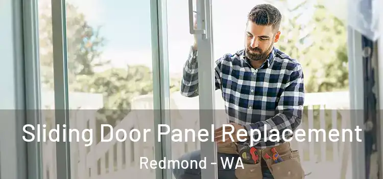  Sliding Door Panel Replacement Redmond - WA