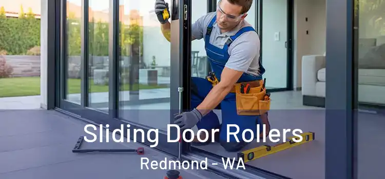 Sliding Door Rollers Redmond - WA