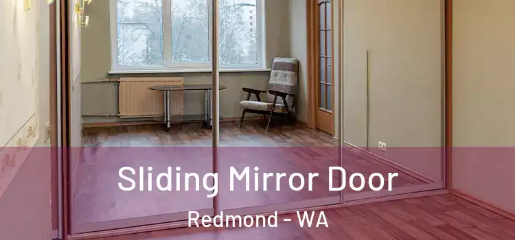 Sliding Mirror Door Redmond - WA